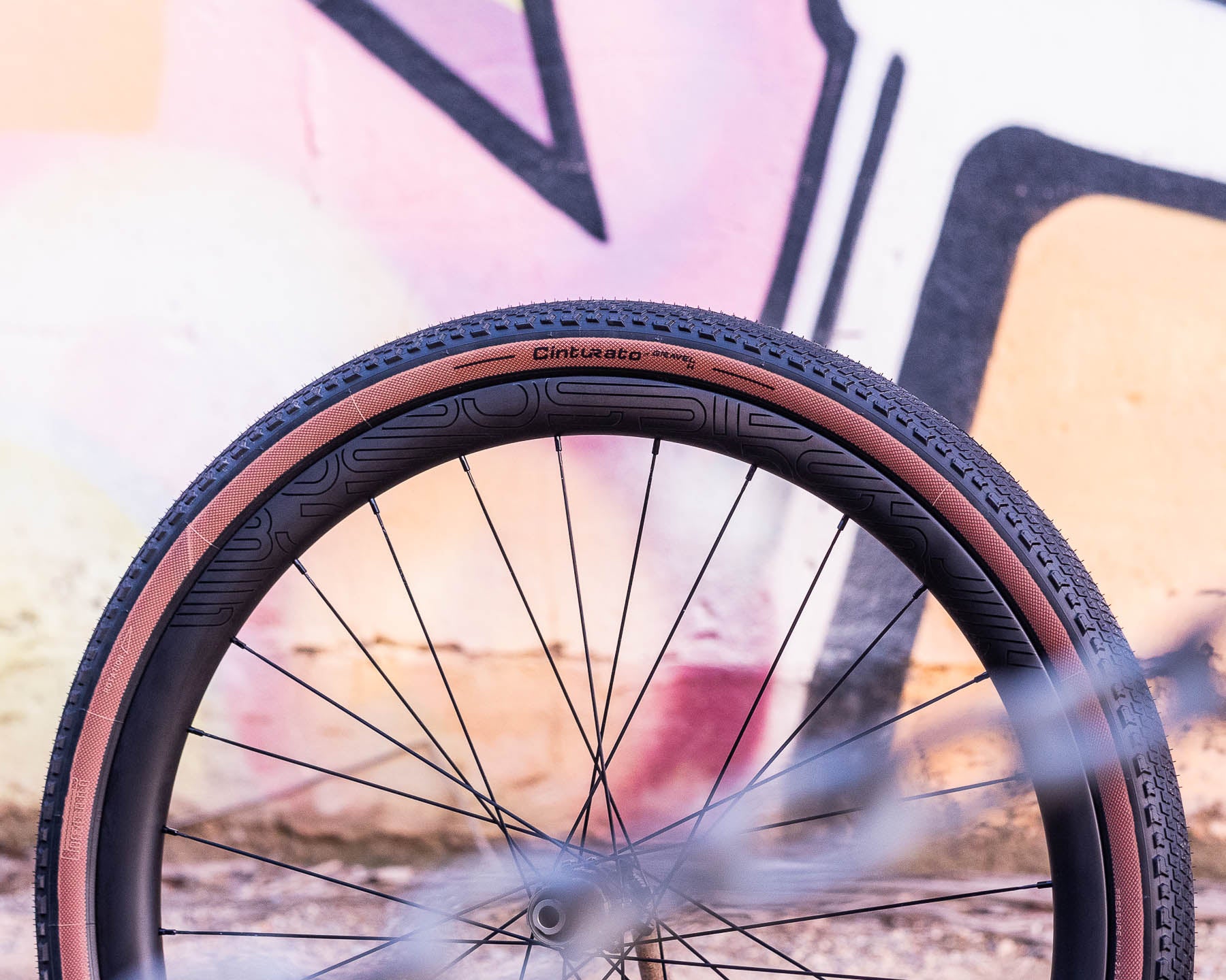 Carbon bicycle wheelset